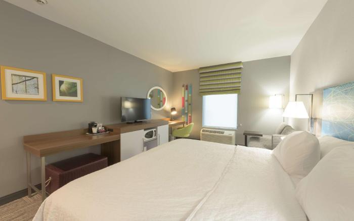 Hampton Inn Buffalo-Hamburg
