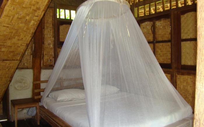 Flower Bud Bungalow