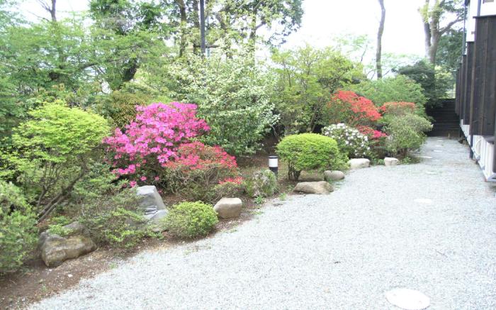 Shinanoki Ichinoyu