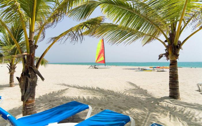 Viva Tangerine by Wyndham, A Trademark All Inclusive
