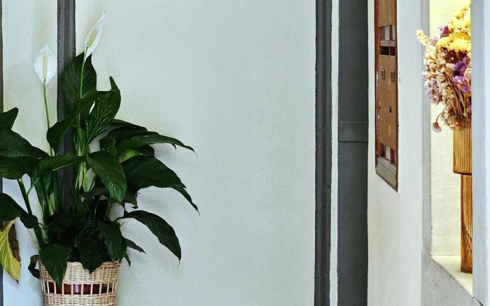 SPIRIT OF FLORENCE Boutique Rooms 