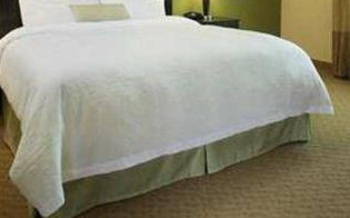 Hampton Inn Detroit/Auburn Hills-North(Great Lakes Crossing)