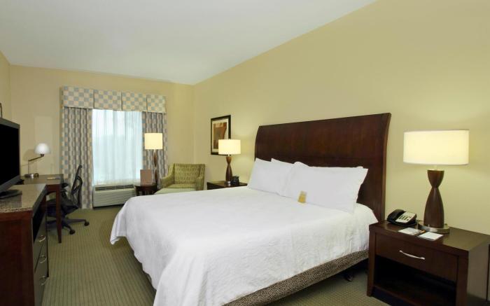 Hilton Garden Inn Beaumont, TX