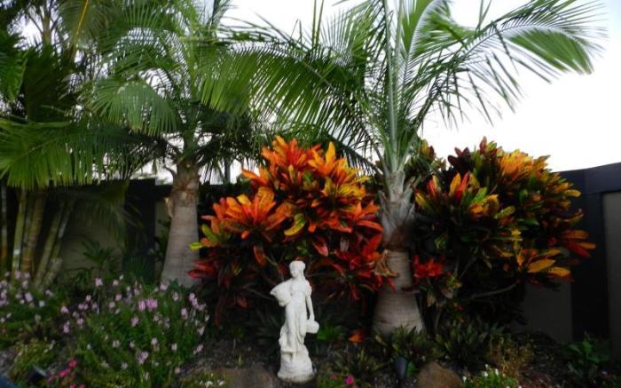 Golden Palms Motor Inn