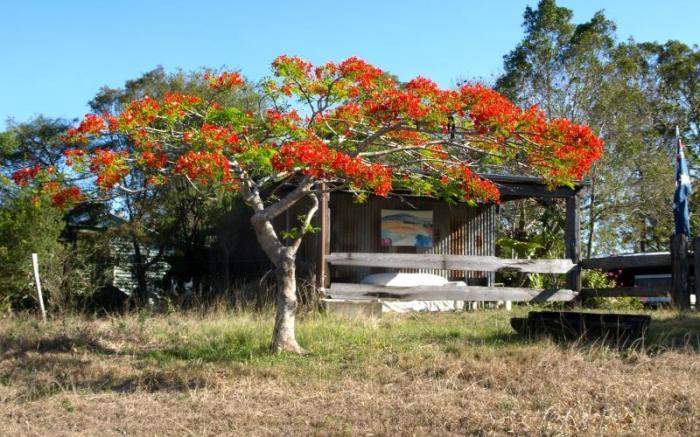 Amamoor Lodge