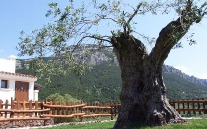 Turismo Rurale Belvedere Pradonos