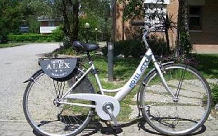 Hotel Alex