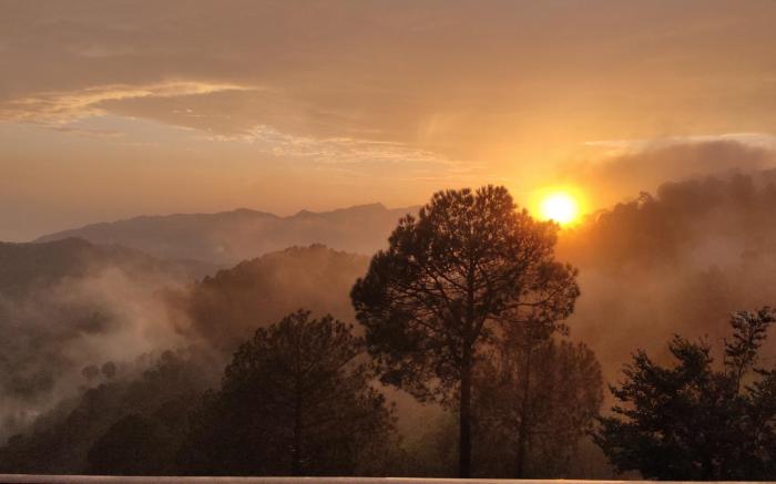 LEELA The Flavors of Nature