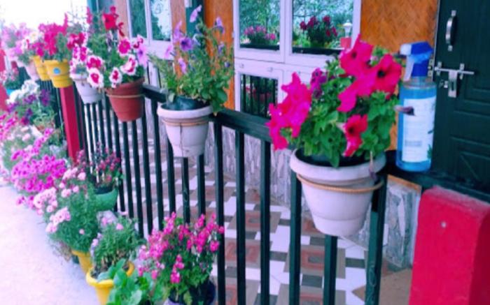 Green Hills Sangsay Homestay kalimpong