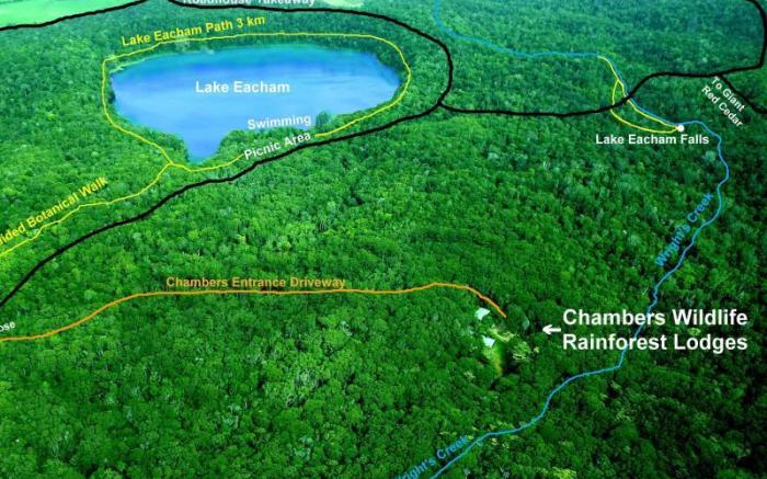 Chambers Wildlife Rainforest Lodges
