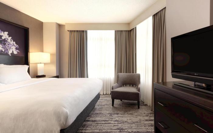 Embassy Suites by Hilton Atlanta at Centennial Olympic Park