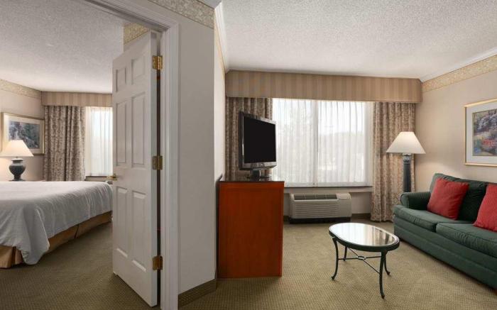 Hilton Garden Inn Atlanta NE/Gwinnett Sugarloaf