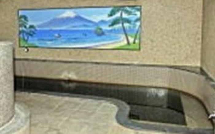 Tokyo Business Hotel