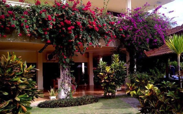 Bali Paradise Hotel - Boutique Resort