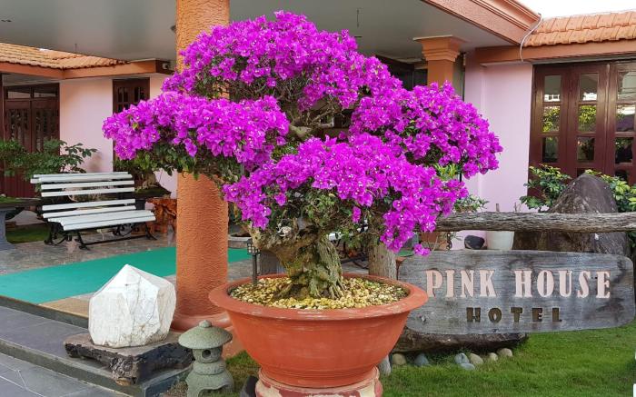 Villa Pink House