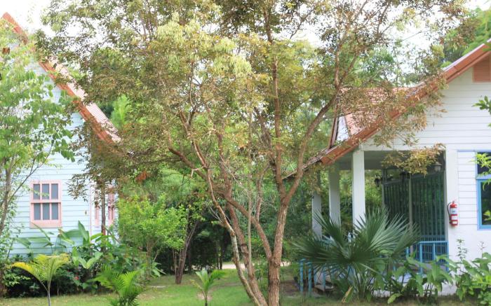 Pai Flora Resort