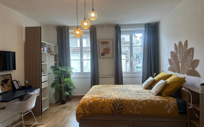 Appartement cosy au cœur de la ville d'Auch
