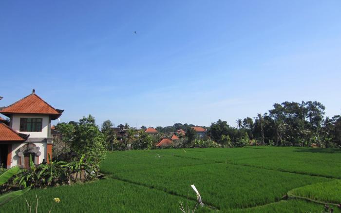 Danasari Homestay