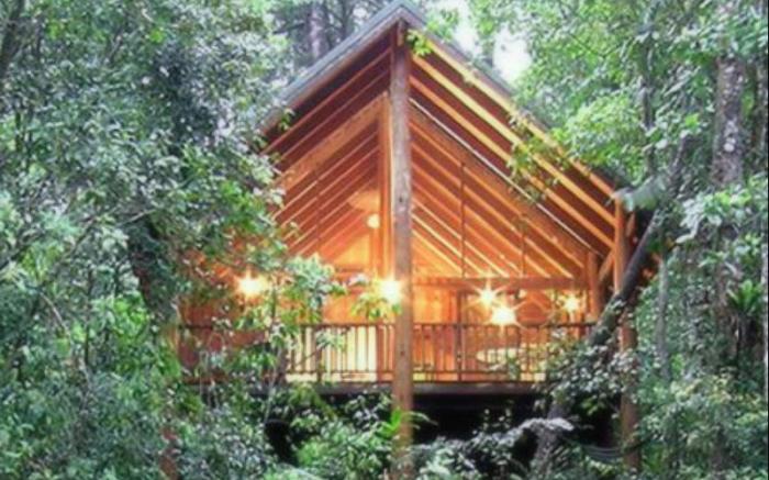 The Canopy Rainforest Treehouses