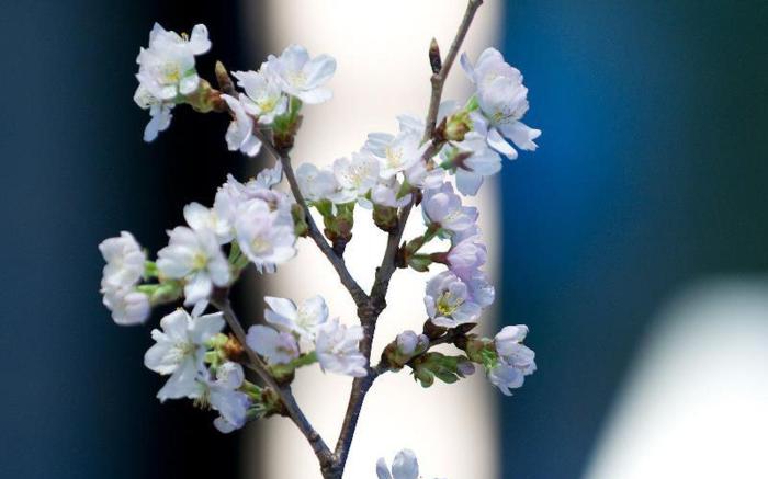 Sapporo Kitahiroshima Classe Hotel