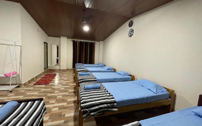 New Organic Home stay