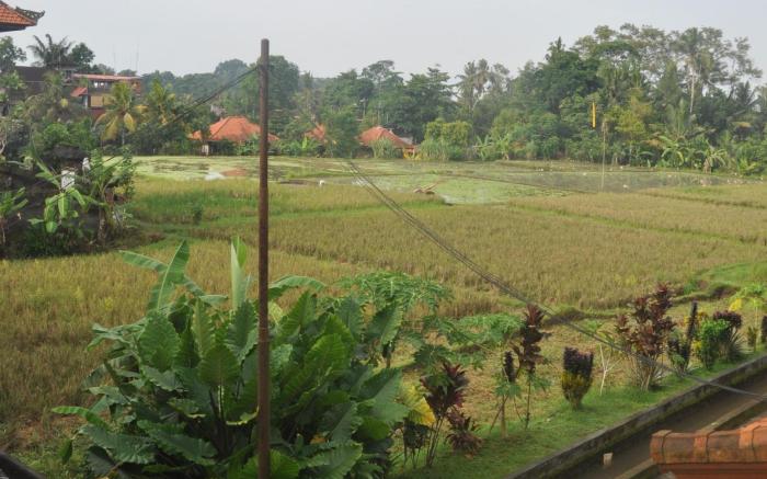 Candra Asri Bungalow