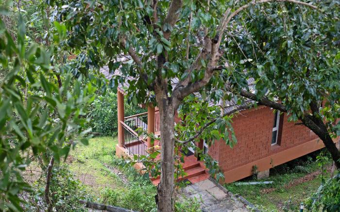 Sharavathi Adventure Camp -Jungle lodges