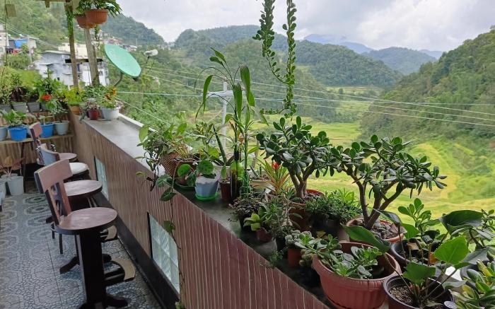 Banaue Greenfield Inn and Restaurant