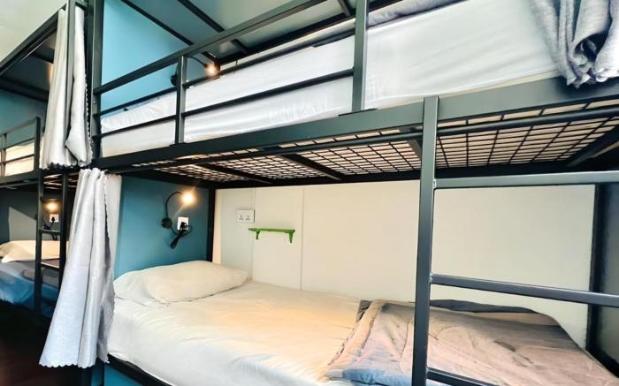 Beary Best! Chinatown