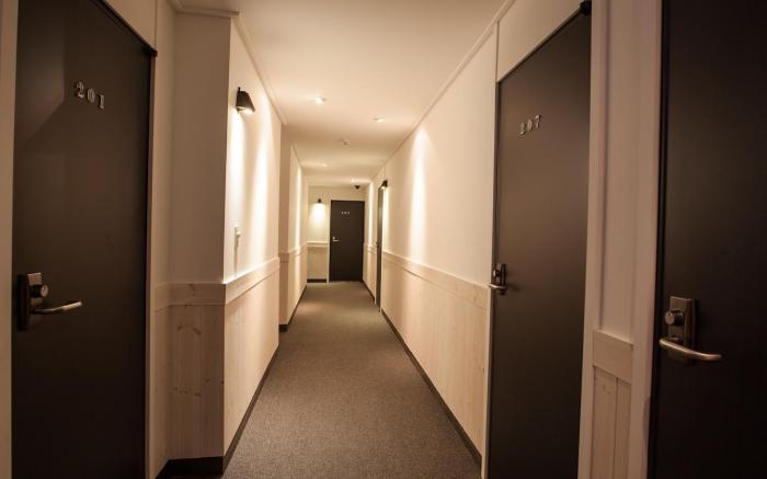 Petercat Hotel Sinchon (Hongdae)