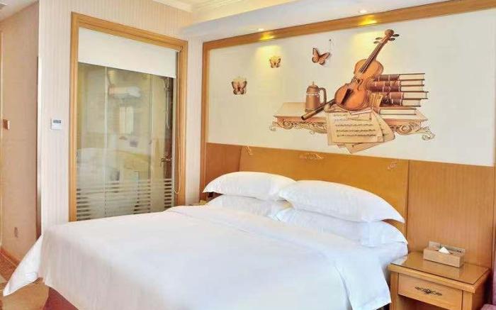 Vienna Hotel Hefei Mingzhu Plaza University Town