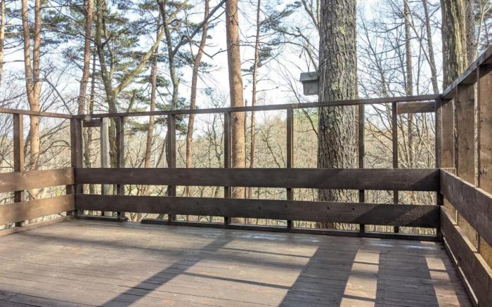 Asuka's House Yatsugatake