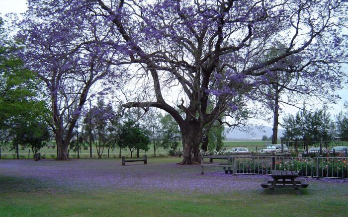 Boonah Motel