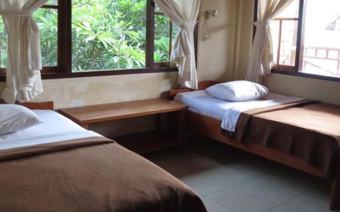 Paradise Palm Beach Bungalows
