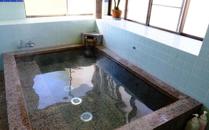 Onsen Minshuku Maruyaso