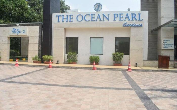 The Ocean Pearl Gardenia