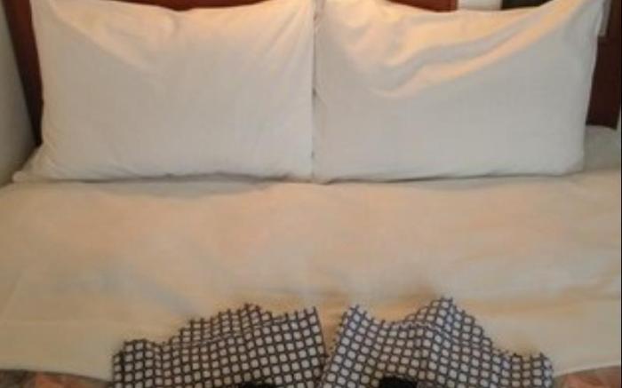 Leo Plaza Hotel