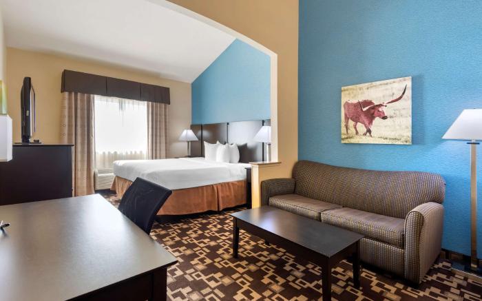 Best Western Plus Arlington North Hotel & Suites