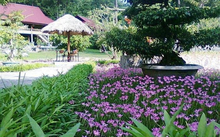 Cat Ba Eco-Lodge Hotel