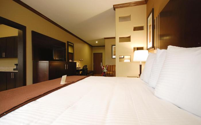 Best Western Plus Texoma Hotel & Suites