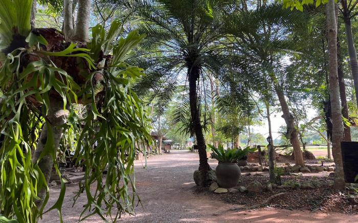 Pang Mai Resort