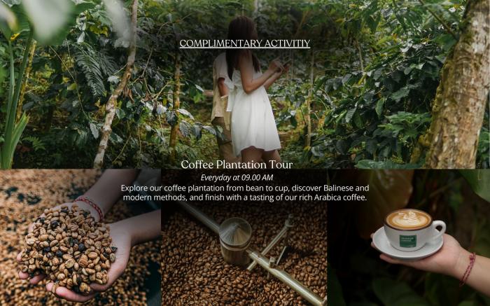 Munduk Moding Plantation