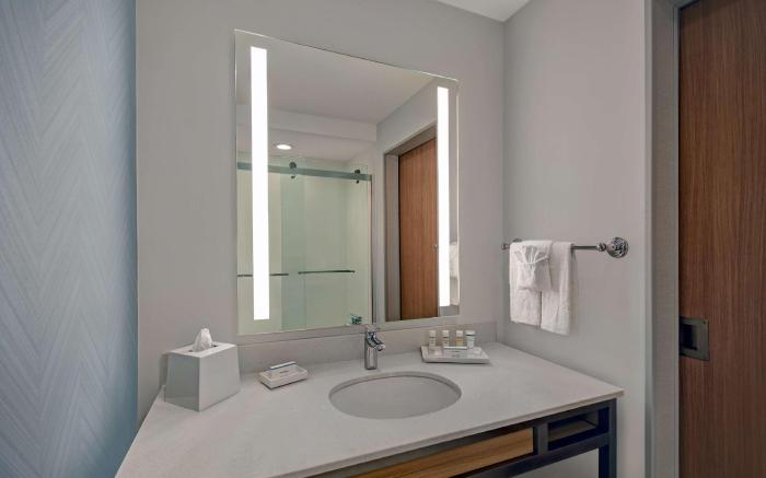 Hilton Garden Inn Houston Medical Center, TX