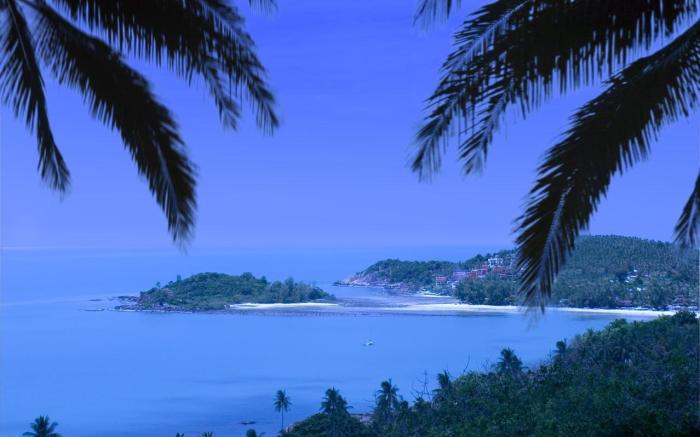 Paradise Island Estate