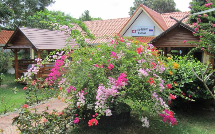 Flower Paradiese und Roestiland