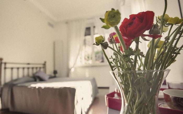 Maison Colosseo Guesthouse