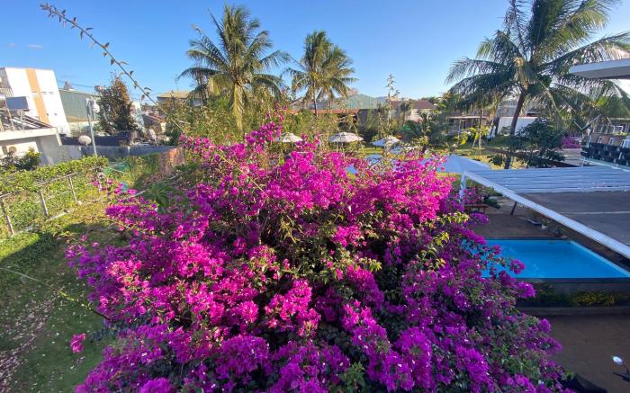 Homestay Papagarden