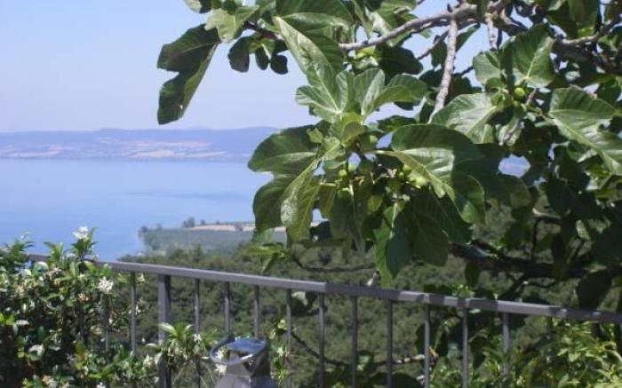 Il Caminetto Montefiascone