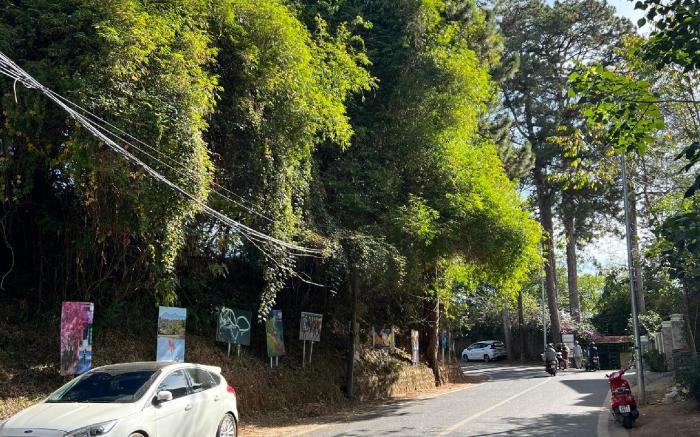 Nature Hotel - Dalat 3