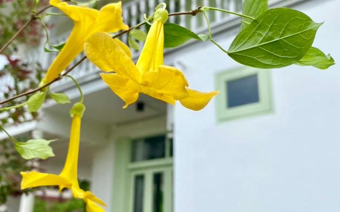 Zane Balcony House Ranong Hotel